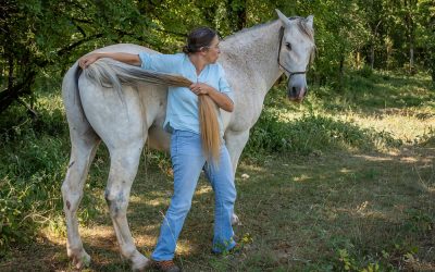 Stage d’initiation Shiatsu equin