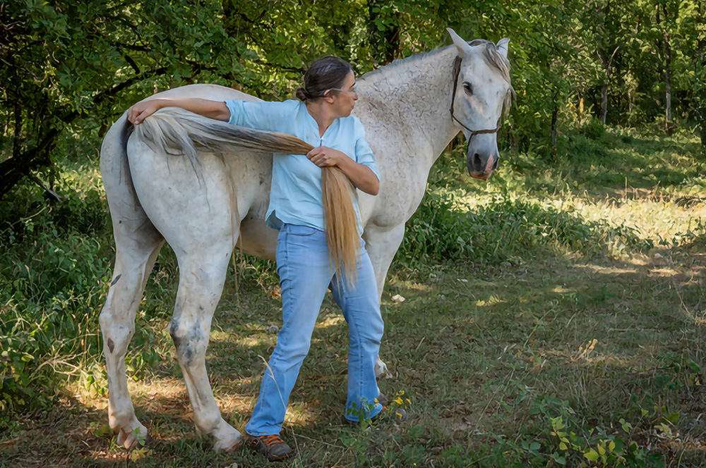 Stage d’initiation Shiatsu equin