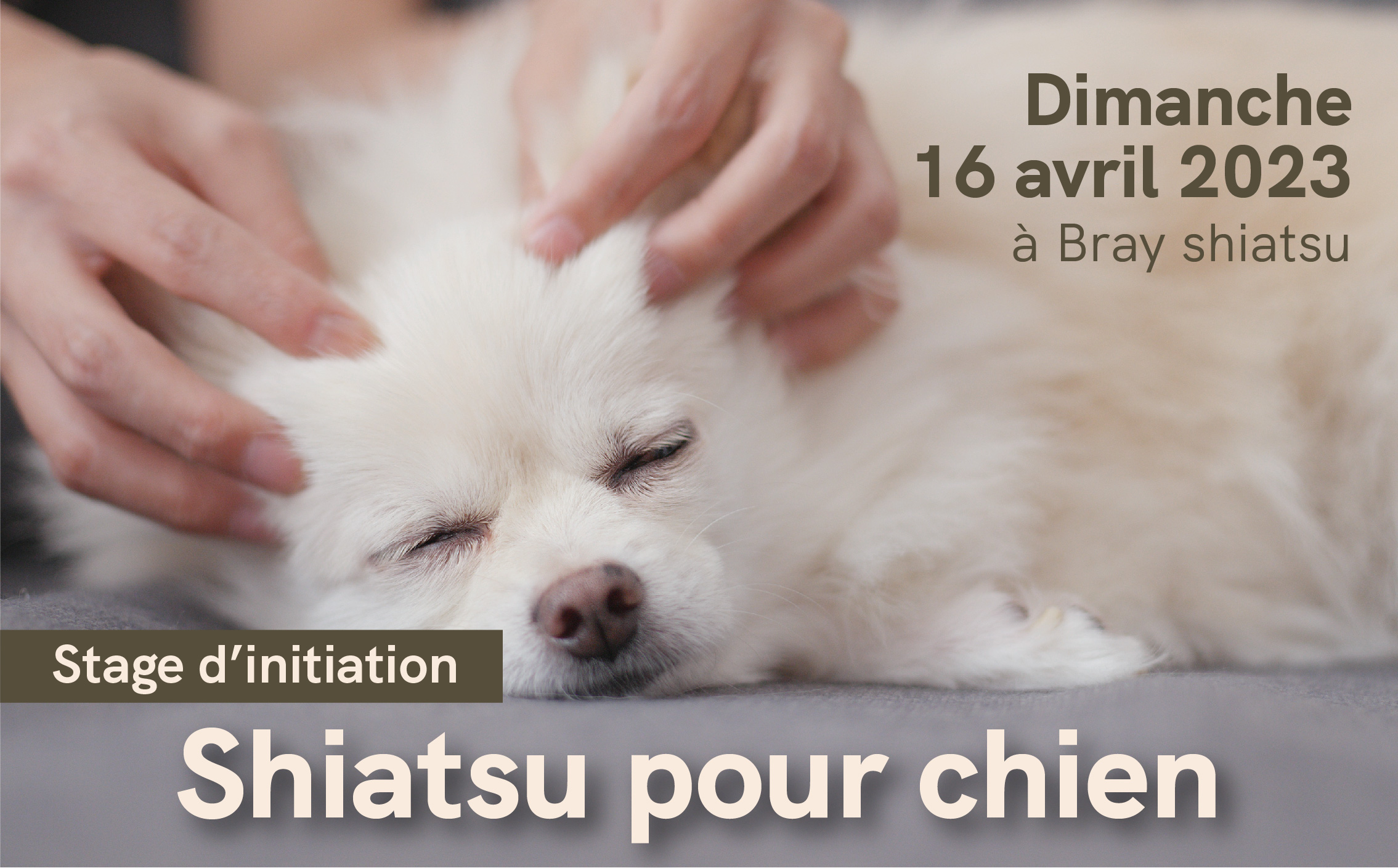 post FB shiatsu autres dates janvier 2023_ou_est_ce copie 2