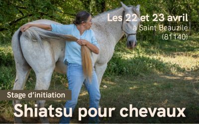 Stage d’initiation – Shiatsu equin