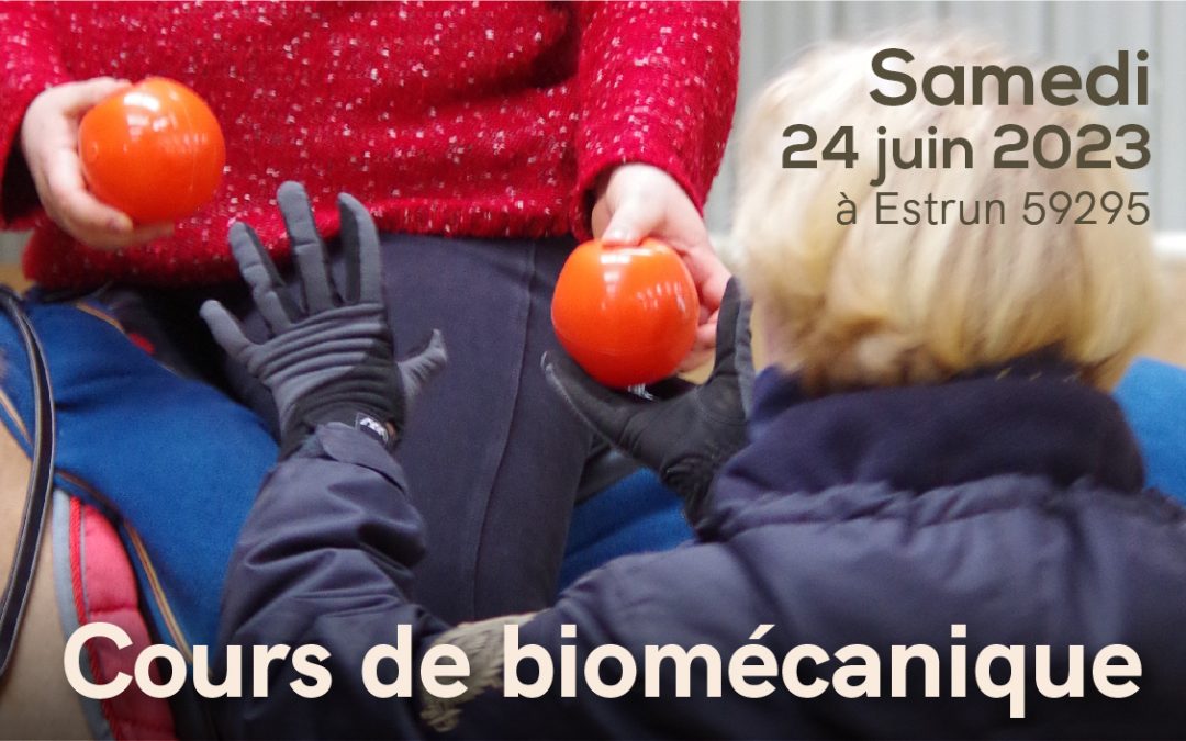 Cours de biomécanique