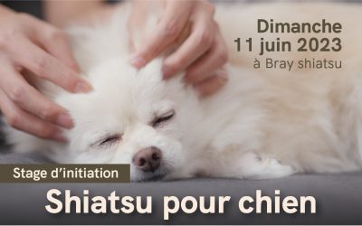 Stage d’initiation – Shiatsu canin
