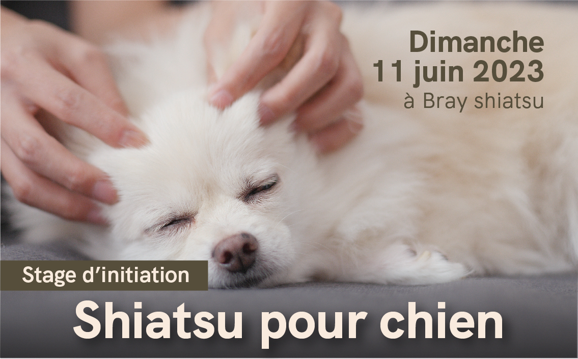 post article shiatsu autres dates janvier 2023 V2_ou_est_ce copie 6