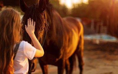 Stage d’initiation Shiatsu equin